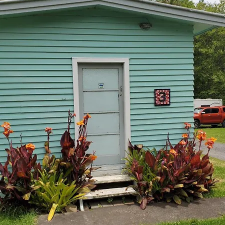 Dickson Holiday Park Thames Exterior foto